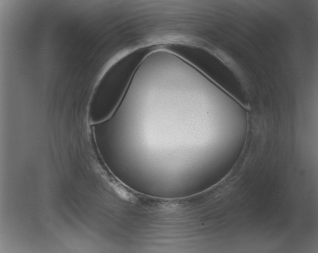 X0000081461230200701121032