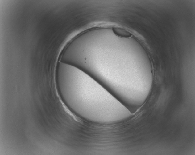 X0000081461231200701121032