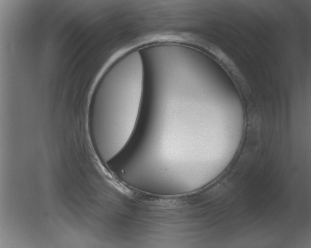 X0000081461232200701121032