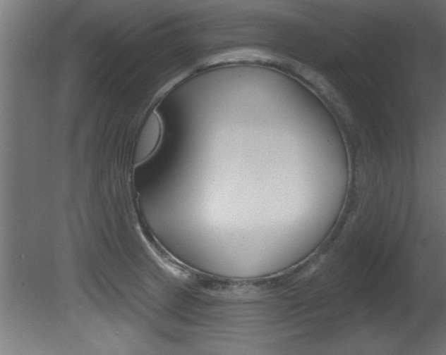 X0000081461233200701121032