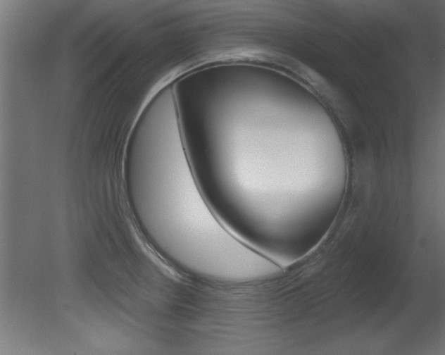 X0000081461234200701121033