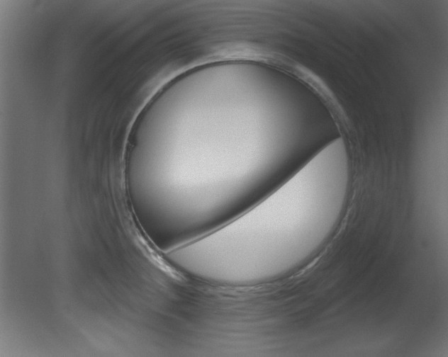 X0000081461236200701121033