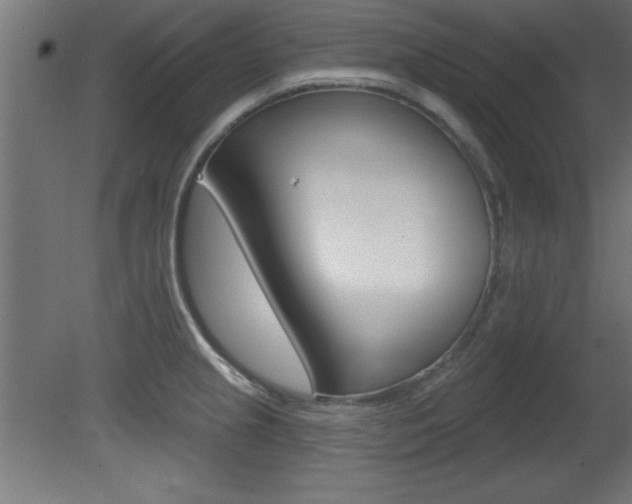 X0000081461237200701121033