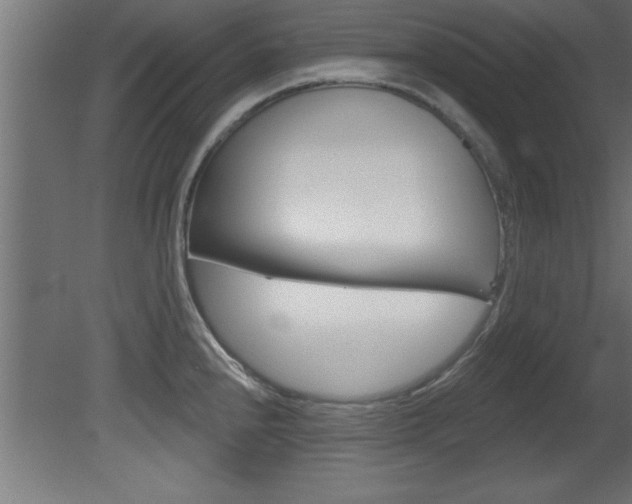 X0000081461240200701121033