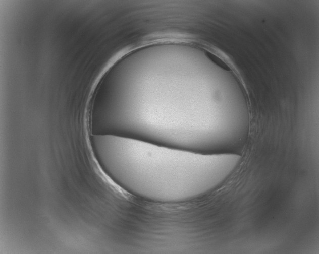 X0000081461243200701121033