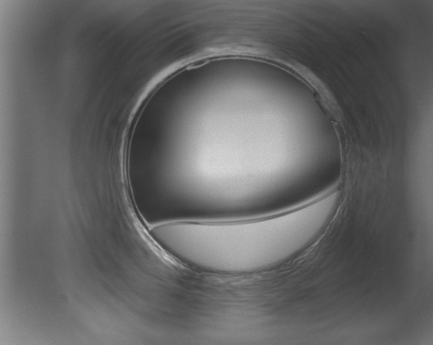 X0000081461246200701121033