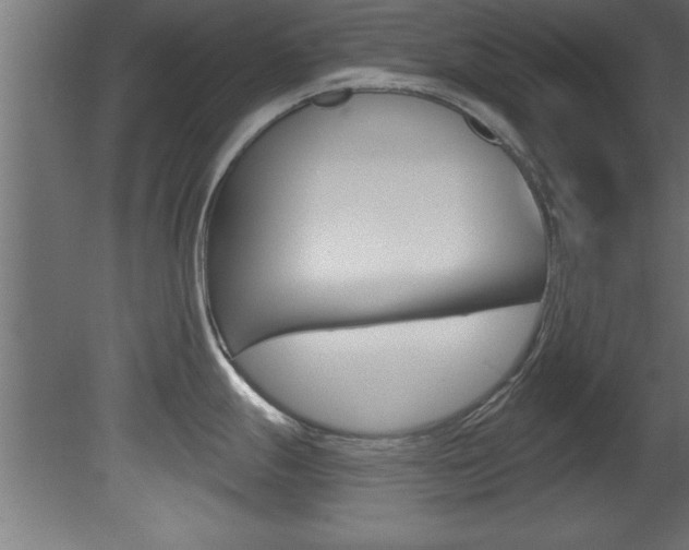 X0000081461247200701121033