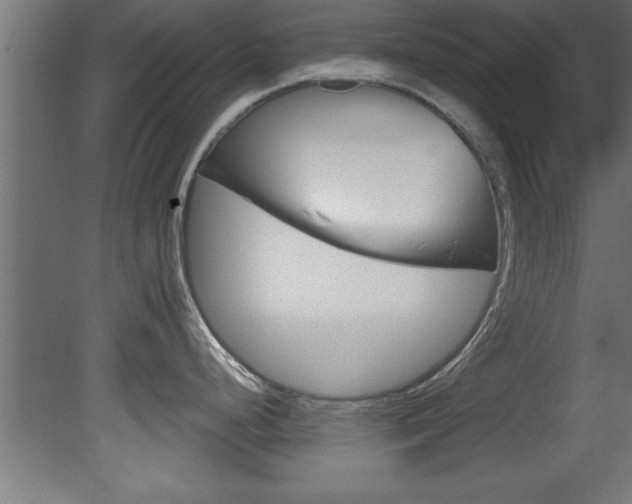 X0000081461248200701121033