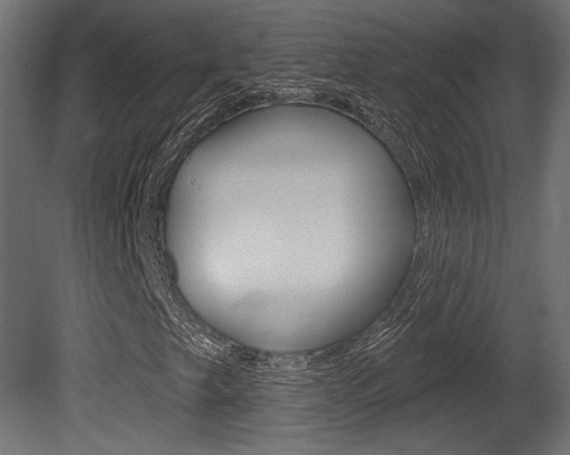 X0000081461249200701121032