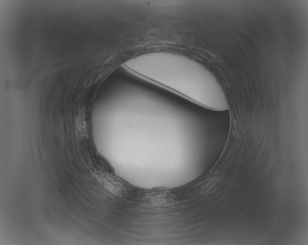 X0000081461252200701121032