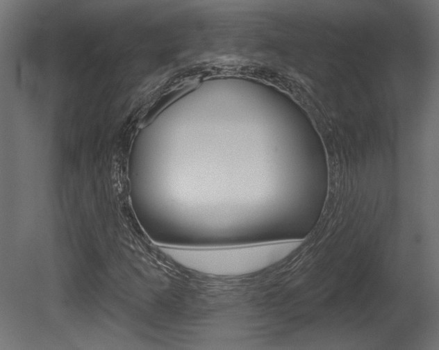 X0000081461253200701121032