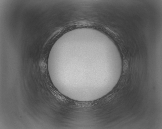 X0000081461254200701121032