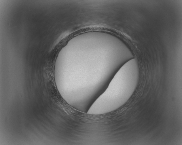 X0000081461255200701121032
