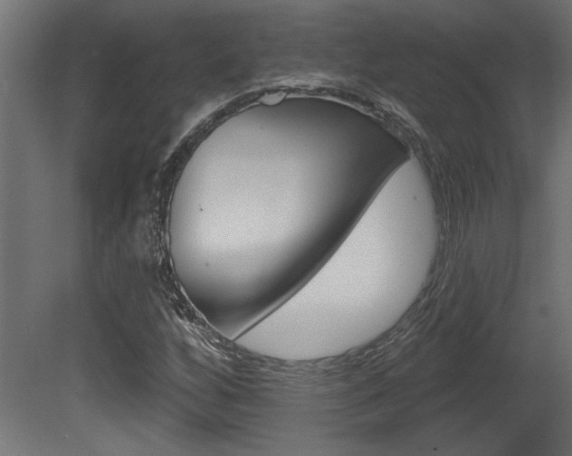 X0000081461256200701121032