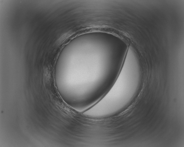X0000081461257200701121032
