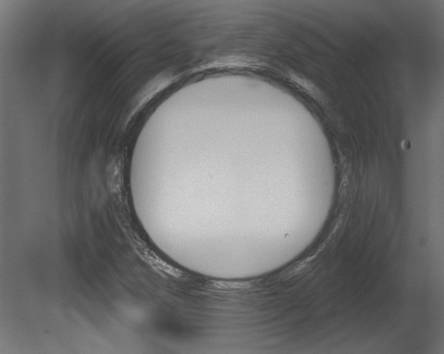 X0000081461258200701121032