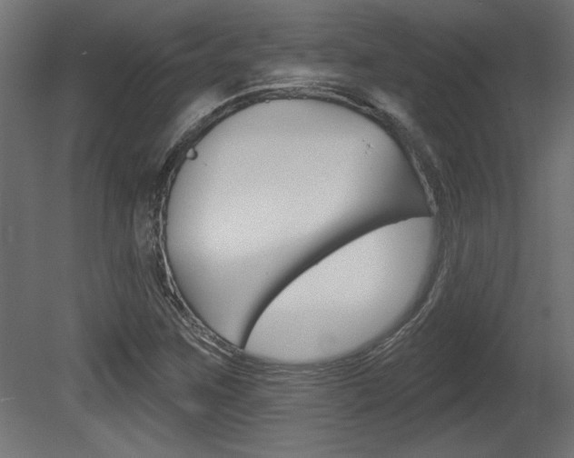 X0000081461259200701121032
