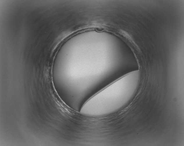 X0000081461260200701121032