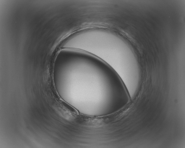 X0000081461261200701121032