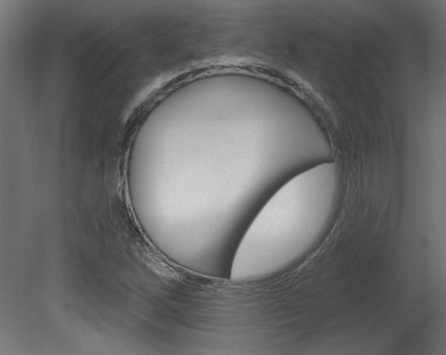X0000081461262200701121032