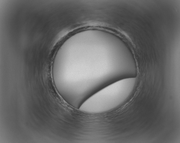 X0000081461263200701121032