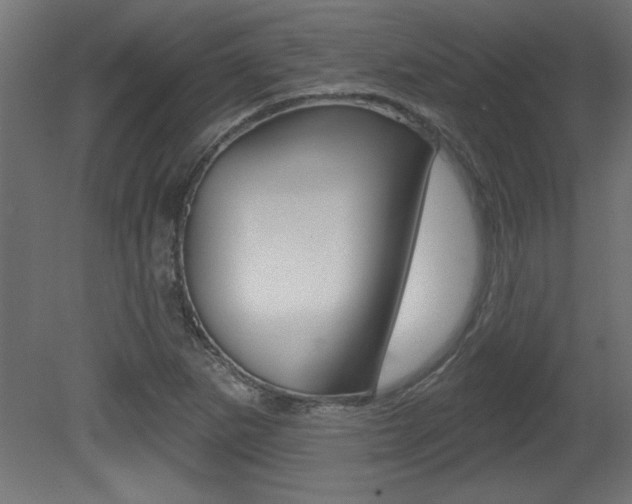 X0000081461265200701121032