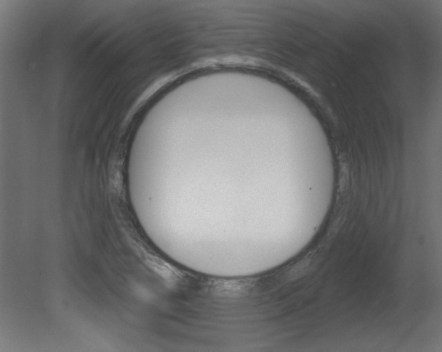 X0000081461266200701121032