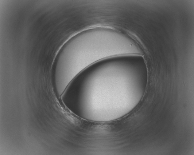 X0000081461268200701121032