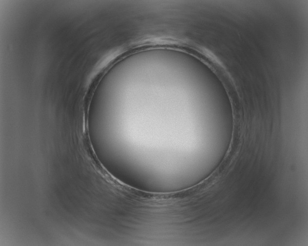 X0000081461269200701121032