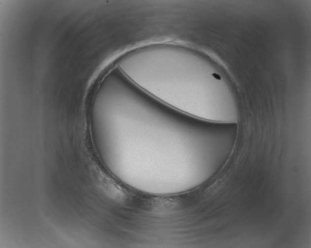 X0000081461270200701121032