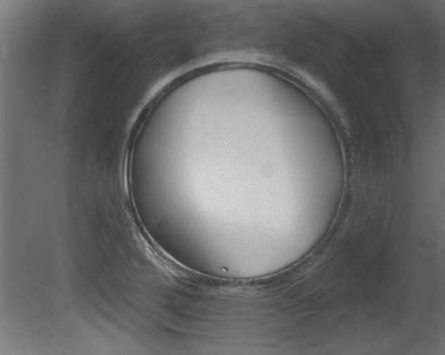 X0000081461272200701121032