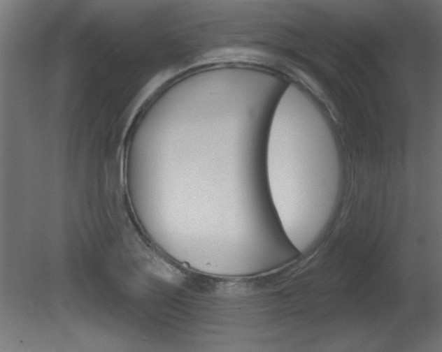 X0000081461275200701121031