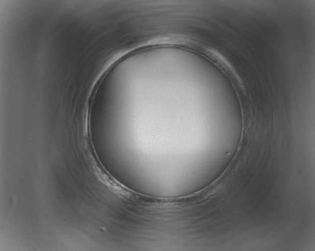 X0000081461276200701121031