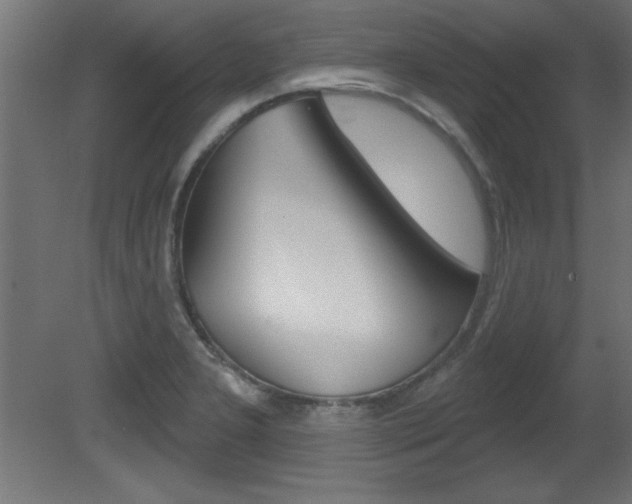 X0000081461277200701121031