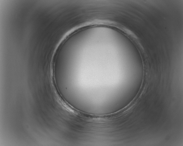 X0000081461280200701121031