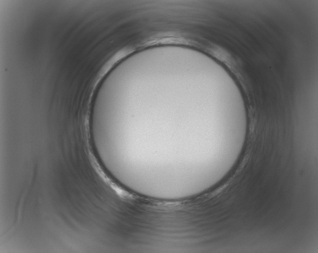 X0000081461282200701121031