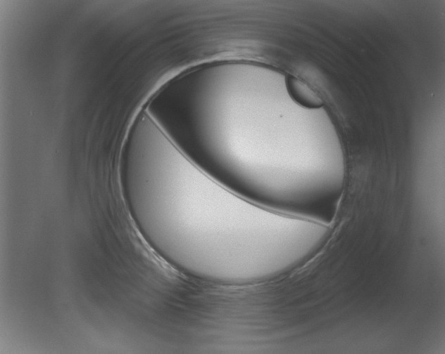 X0000081461284200701121031