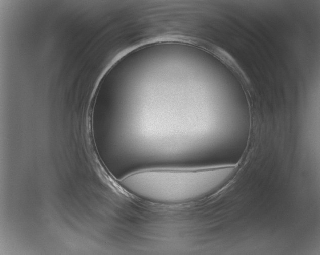 X0000081461292200701121031