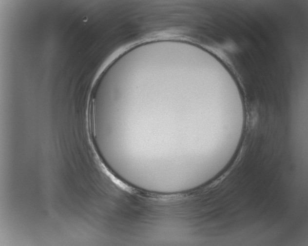 X0000081461294200701121031