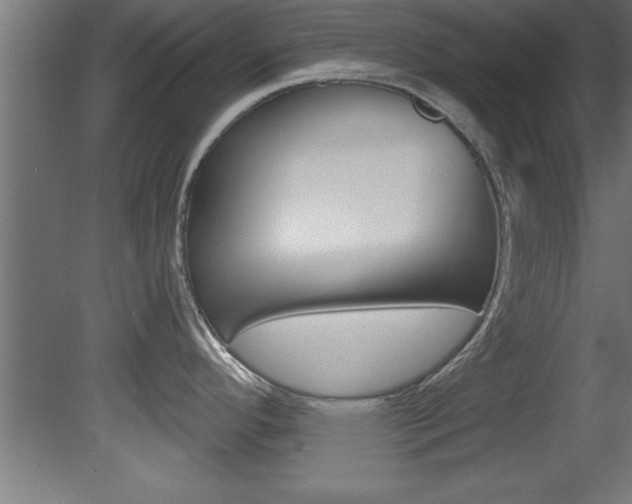 X0000081461296200701121031