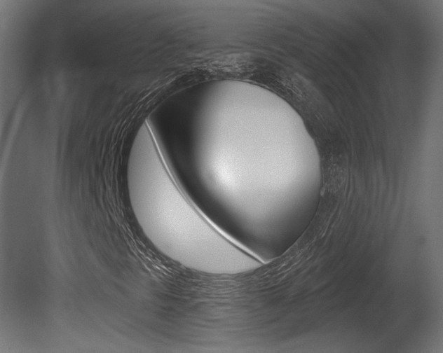 X0000081461297200701121030