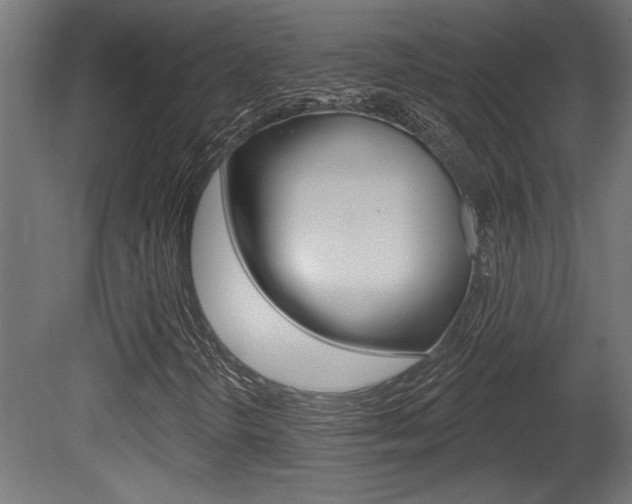 X0000081461298200701121030