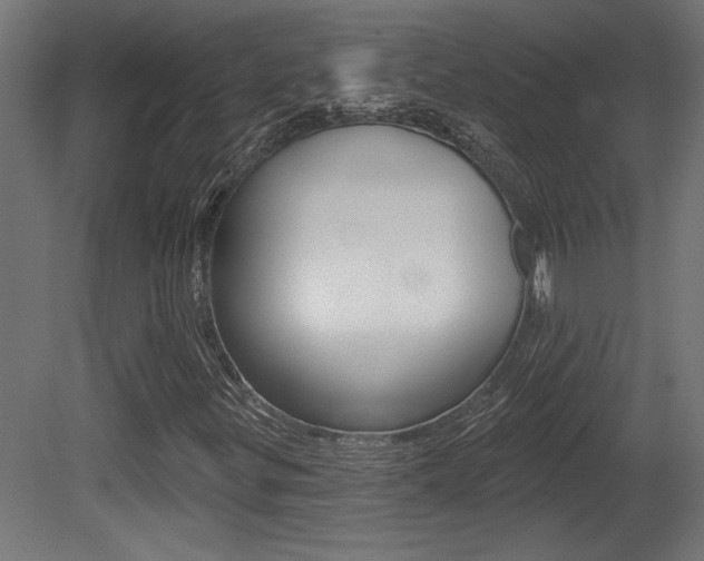 X0000081461299200701121030