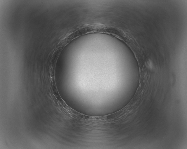 X0000081461301200701121030