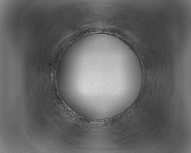 X0000081461302200701121030