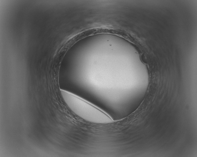 X0000081461303200701121030
