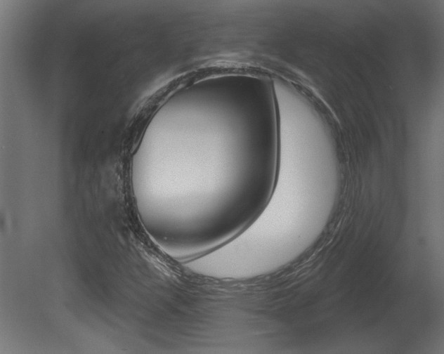 X0000081461304200701121030