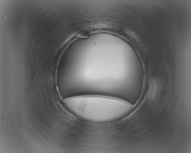 X0000081461305200701121030
