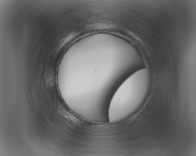 X0000081461306200701121030