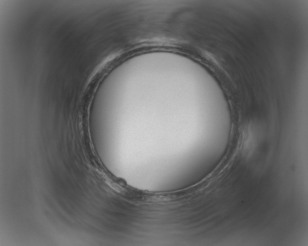 X0000081461307200701121030